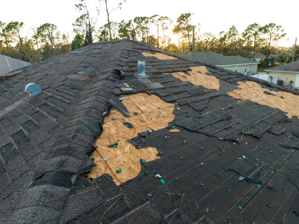 Best Metal Roofing Installation  in Eaton, CO